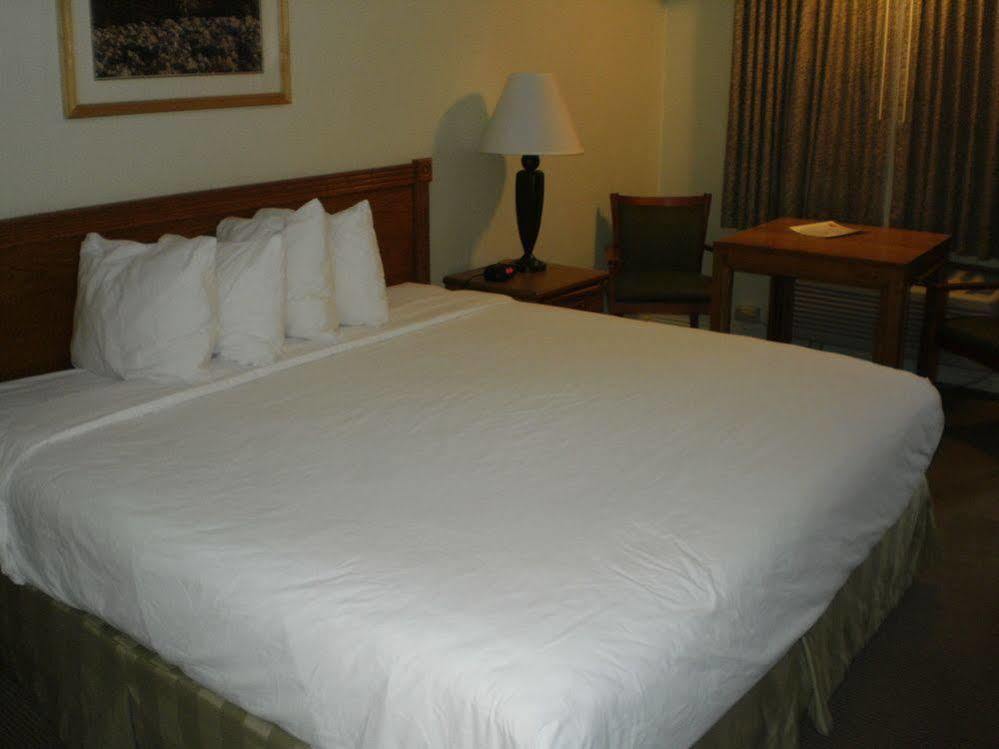 Motel Magnuson Park Vue Ely